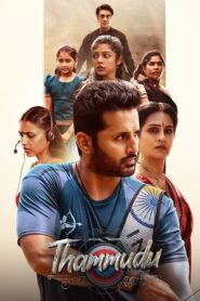 Thammudu (2025) Hindi Dubbed [JioHotstar]