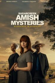 Sugarcreek Amish Mysteries: Blessings in Disguise (2025)