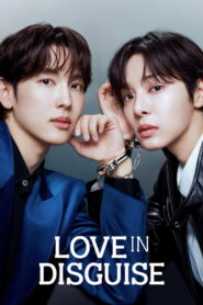 Love in Disguise (2026) Hindi Season 1 Complete